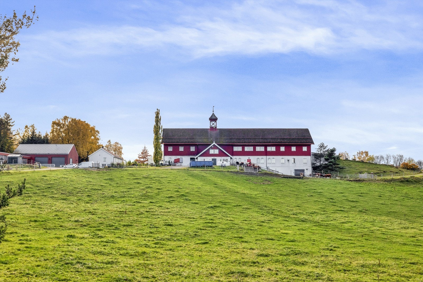Nordre Lindeberg gård. Her er det blant annet husdyr Galleribilde