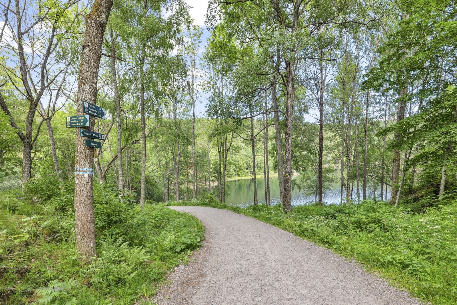 Østmarka har mange stier, turveier og vann Galleribilde