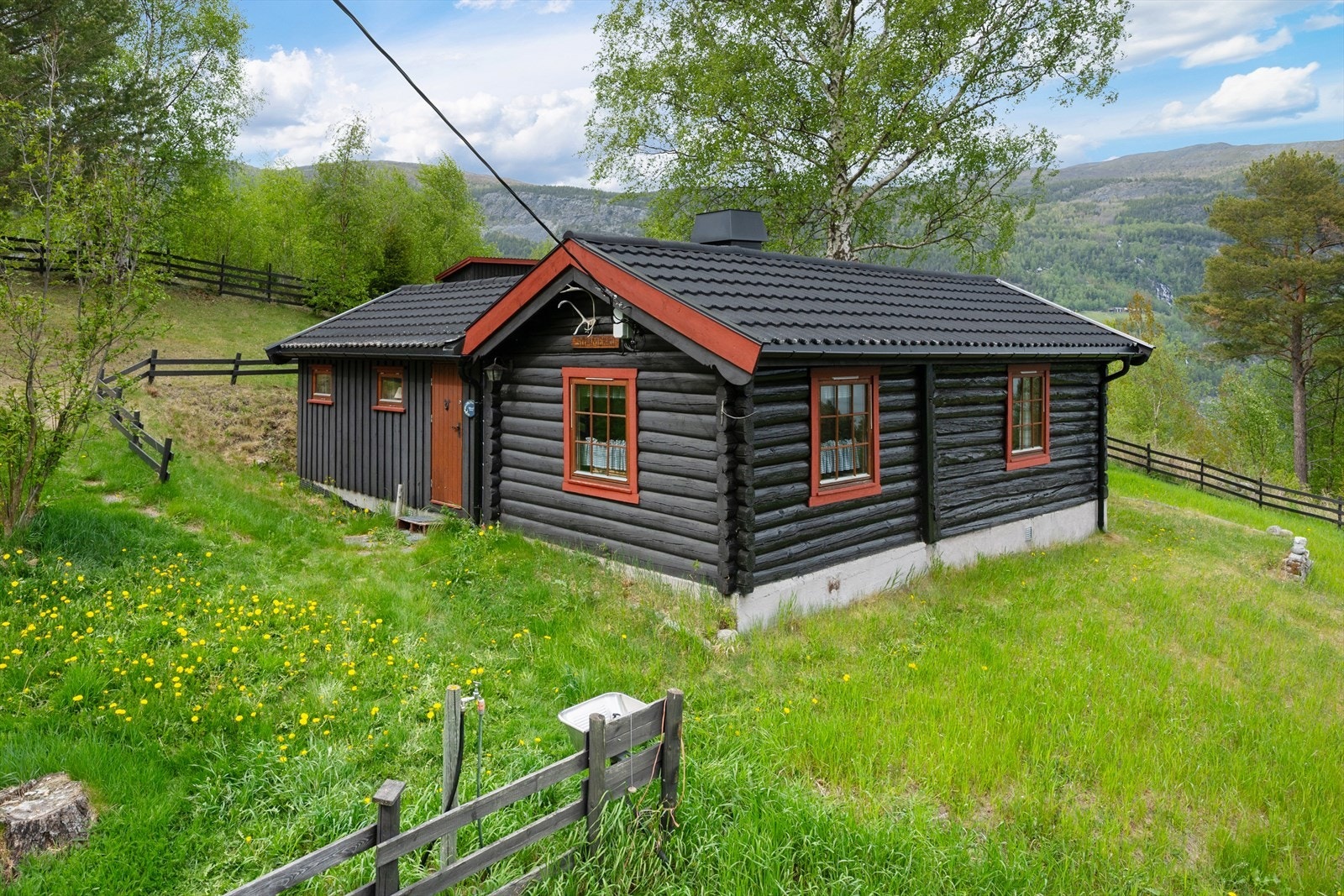 Storrviksroe 115. Galleribilde