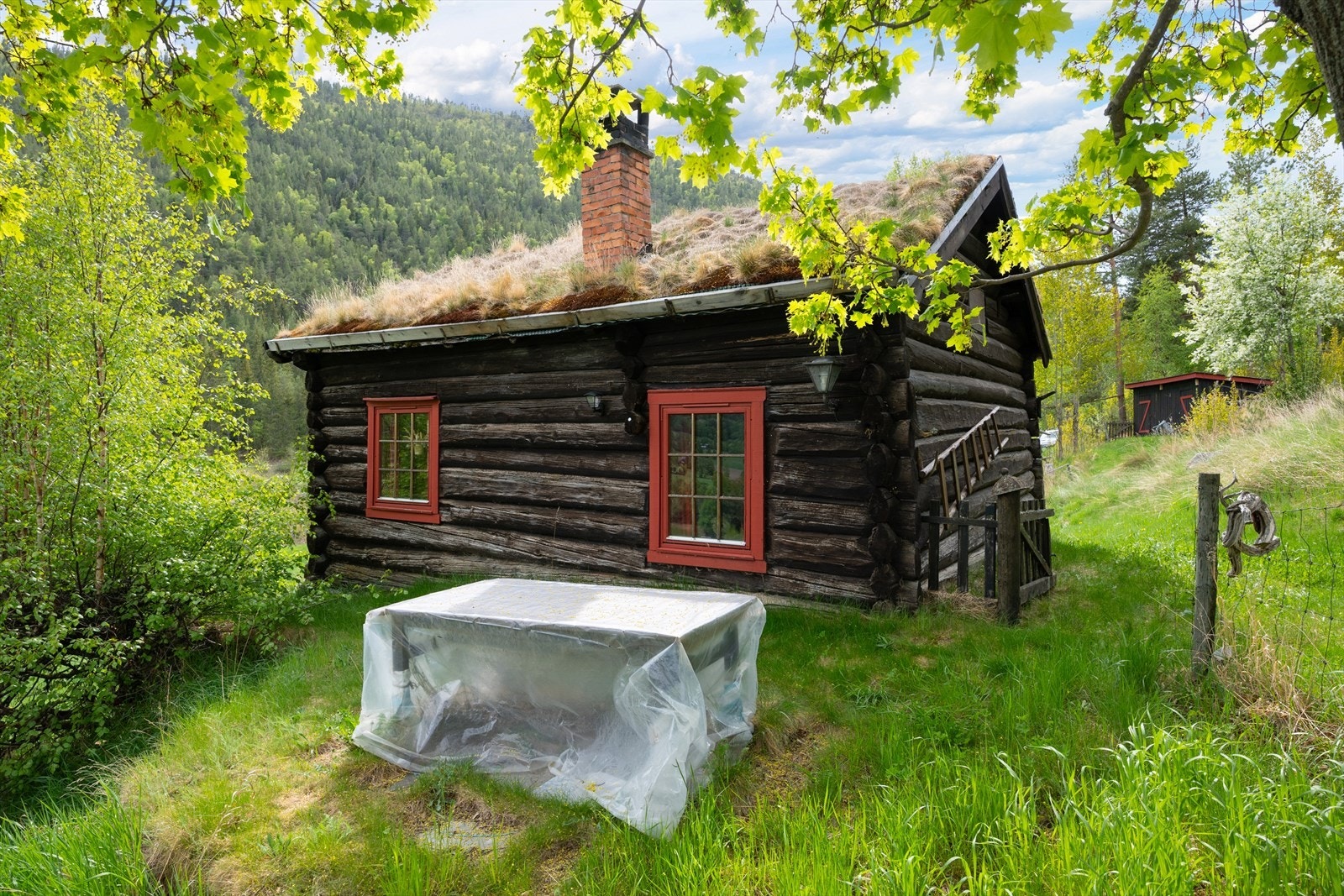 Storrviksroe 113. Galleribilde