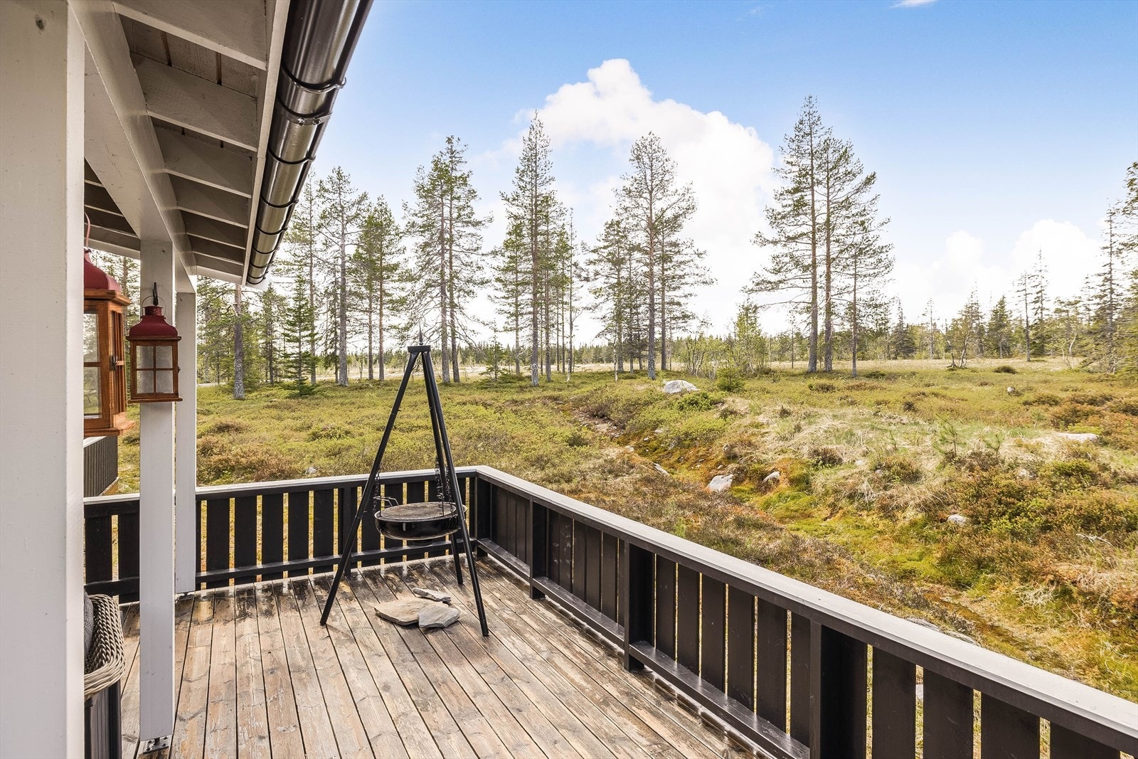 Fra terrassen kan man nyte solen og det yrende dyrelivet rett utenfor hytteveggen. Galleribilde