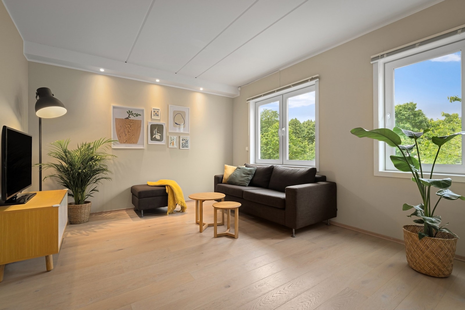 Store vindusflater slipper inn godt med naturlig lys Galleribilde