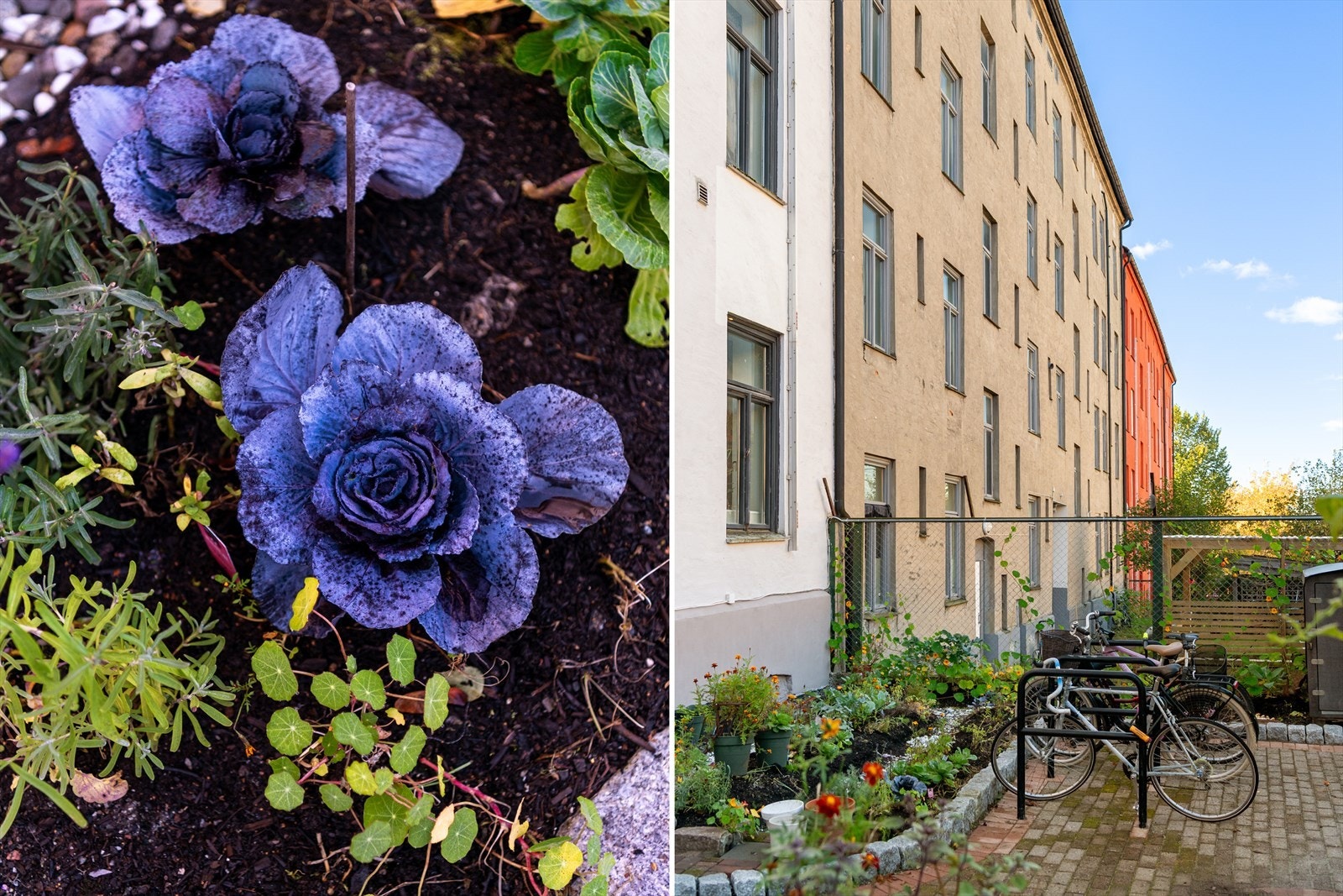 Bakgården har også blitt oppgradert det siste året med ny sykkelparkering, og har et eget drivhus hvor du kan dyrke det du måtte ønske. Galleribilde