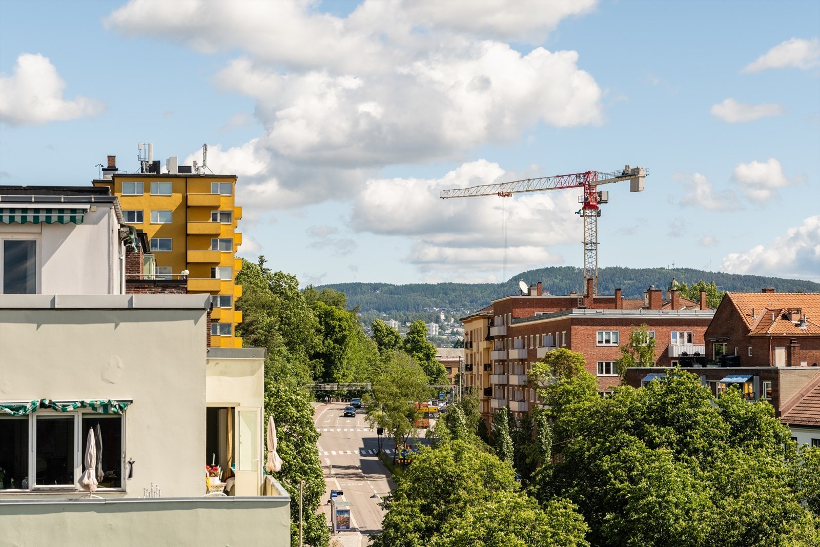 Utsikt. Galleribilde
