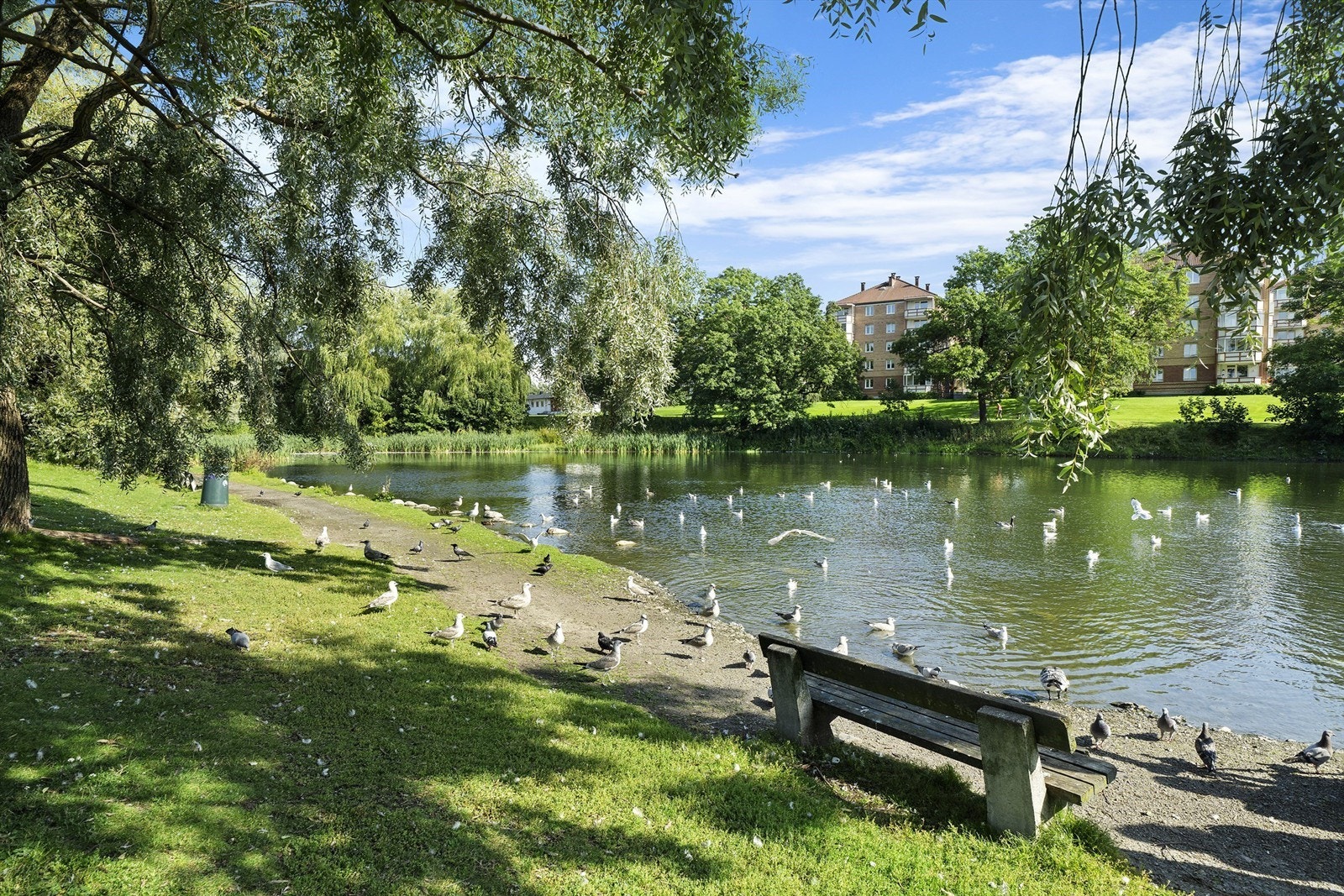 Ved Valle Hovin er det store, flotte grøntområder og den hyggelige Hovindammen Galleribilde