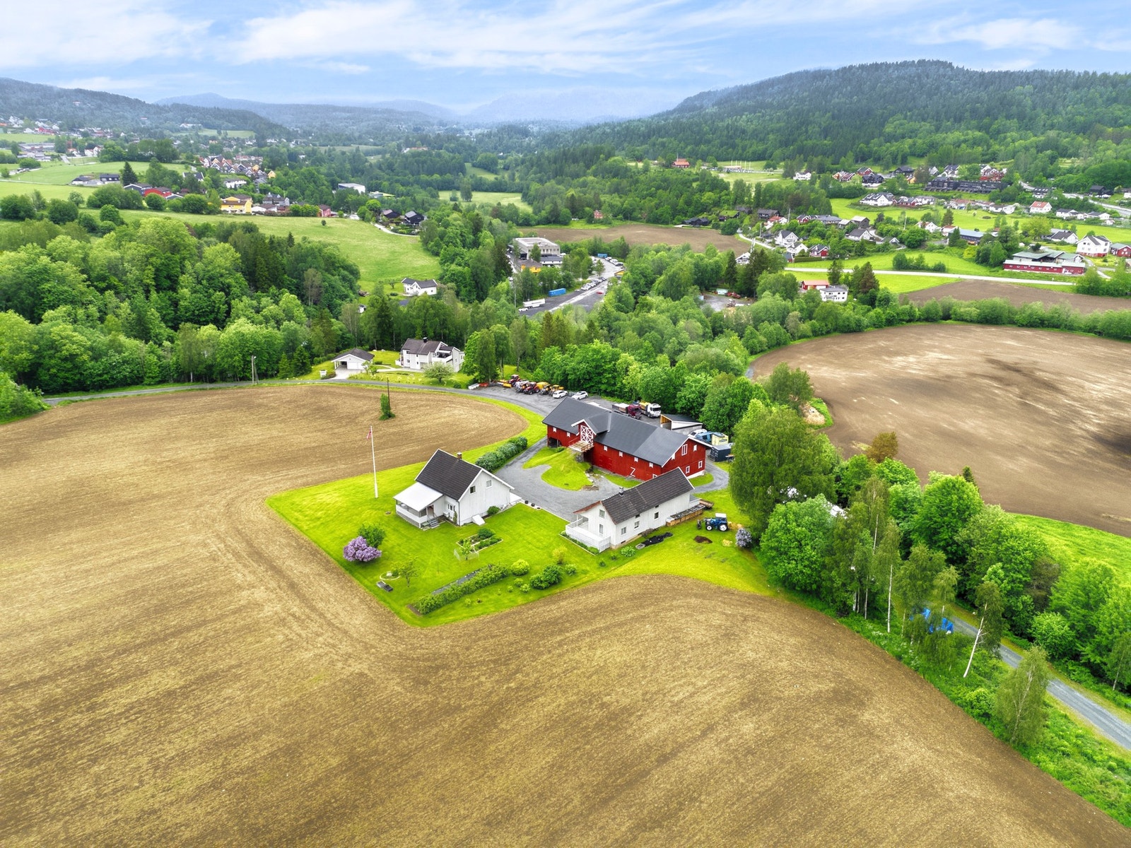"Vedskog" i randsoner Galleribilde