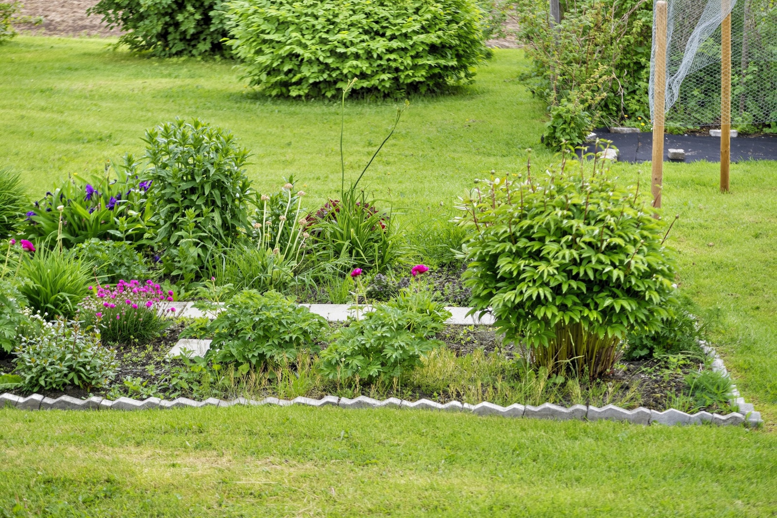 Staude-bed. Rikelig med muligheter for kjøkkenhage, bær og blomster-bed. Galleribilde