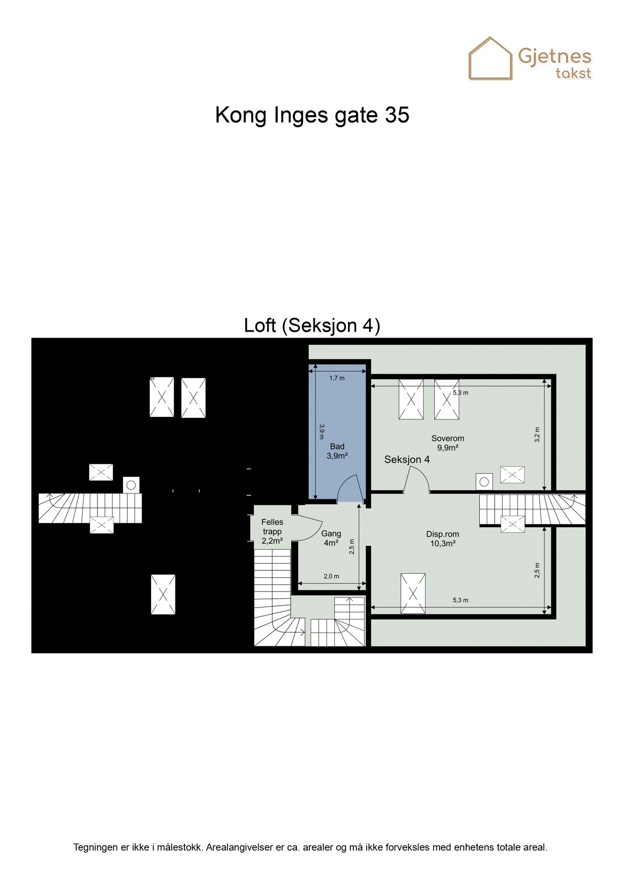 Planteging loft. Galleribilde