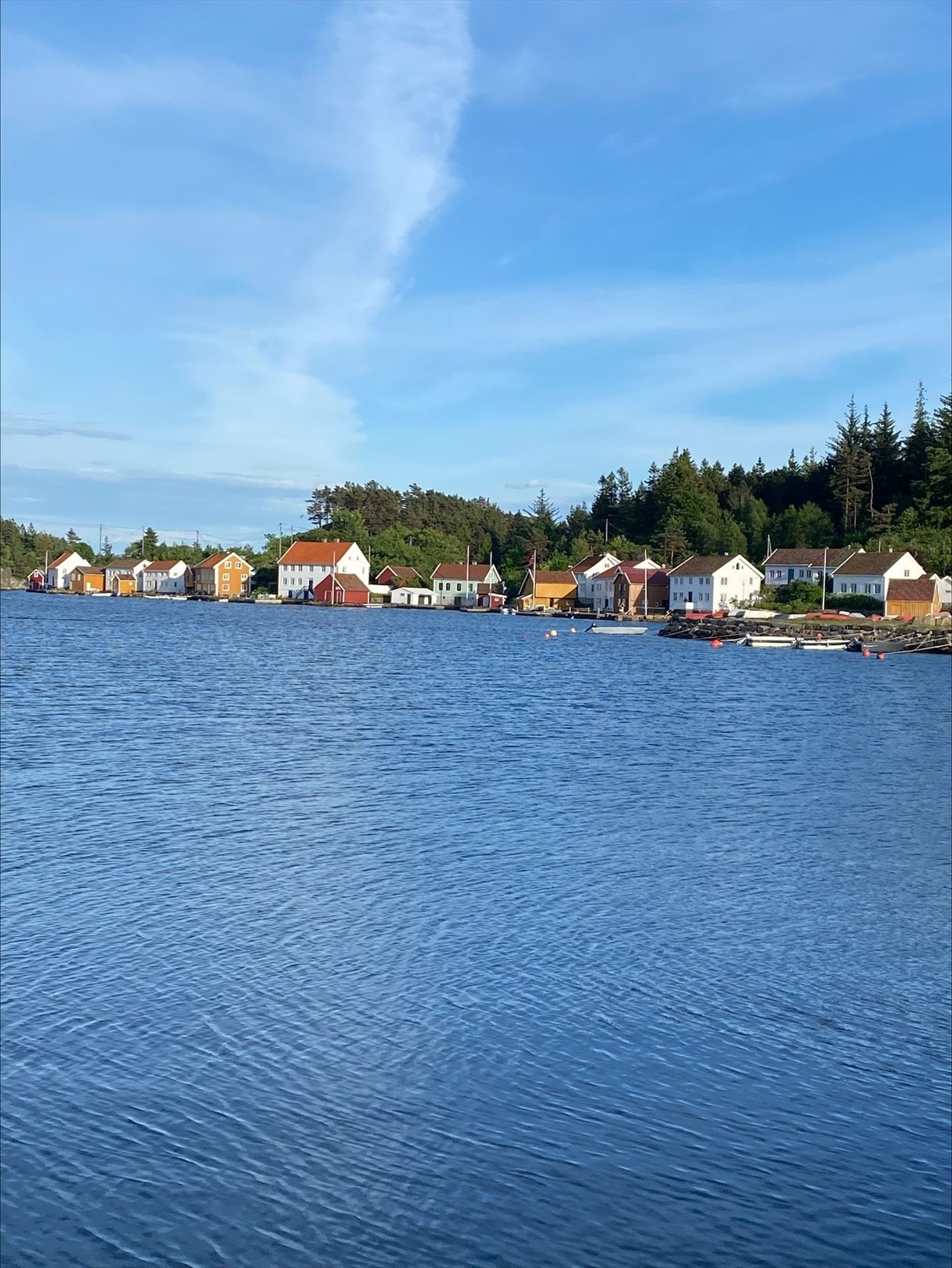 Rett utenfor ligger Svinør - en av Sørlandets best bevarte uthavner med vakre hvite trehus og historisk sjarm, som sammen med Åvik danner et særegent og idyllisk havnemiljø. Galleribilde