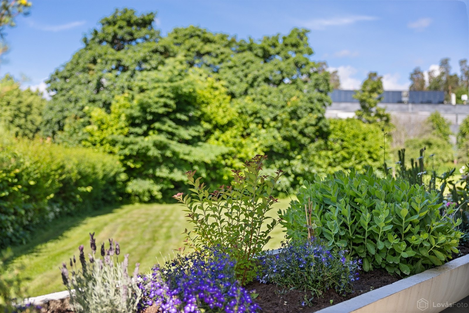 Store blomsterkasser for de som har grønne fingre. Galleribilde