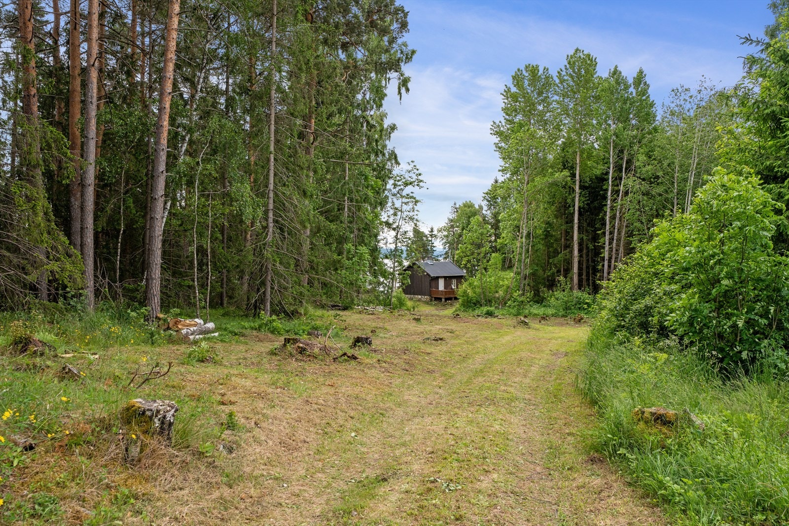 Meget romslig tomt, det er nylig hogget ned endel skog på eiendommen. Det er bilvei inntil 1/3 av tomta. Fra parkeringen er det ca. 50 meters gange bort til hytta. Galleribilde