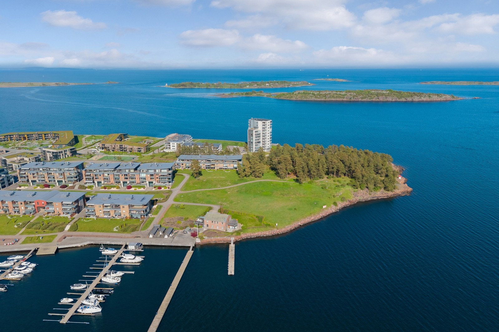 Syd på Jarlsø er det et idyllisk skogsområde som brer seg ut mot Oslofjorden. Galleribilde