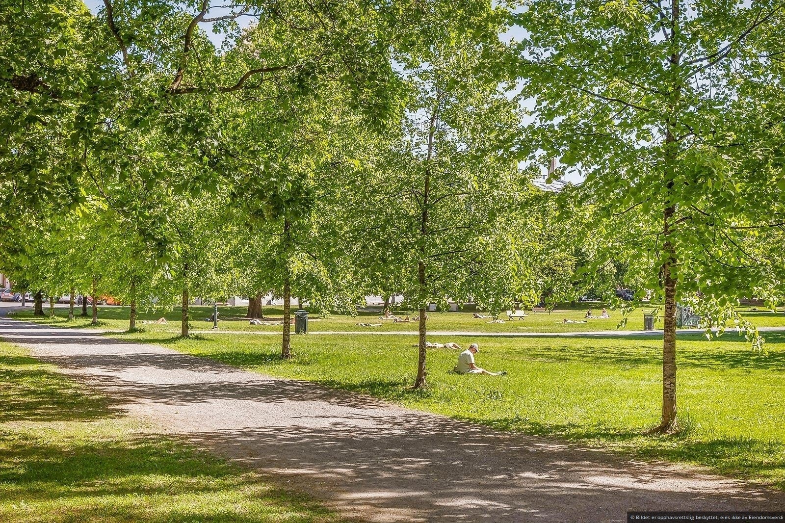 Sommerdager kan nytes her med morgenkaffen, en god bok, pikniker eller avslappende stunder sammen med venner og familie! Galleribilde