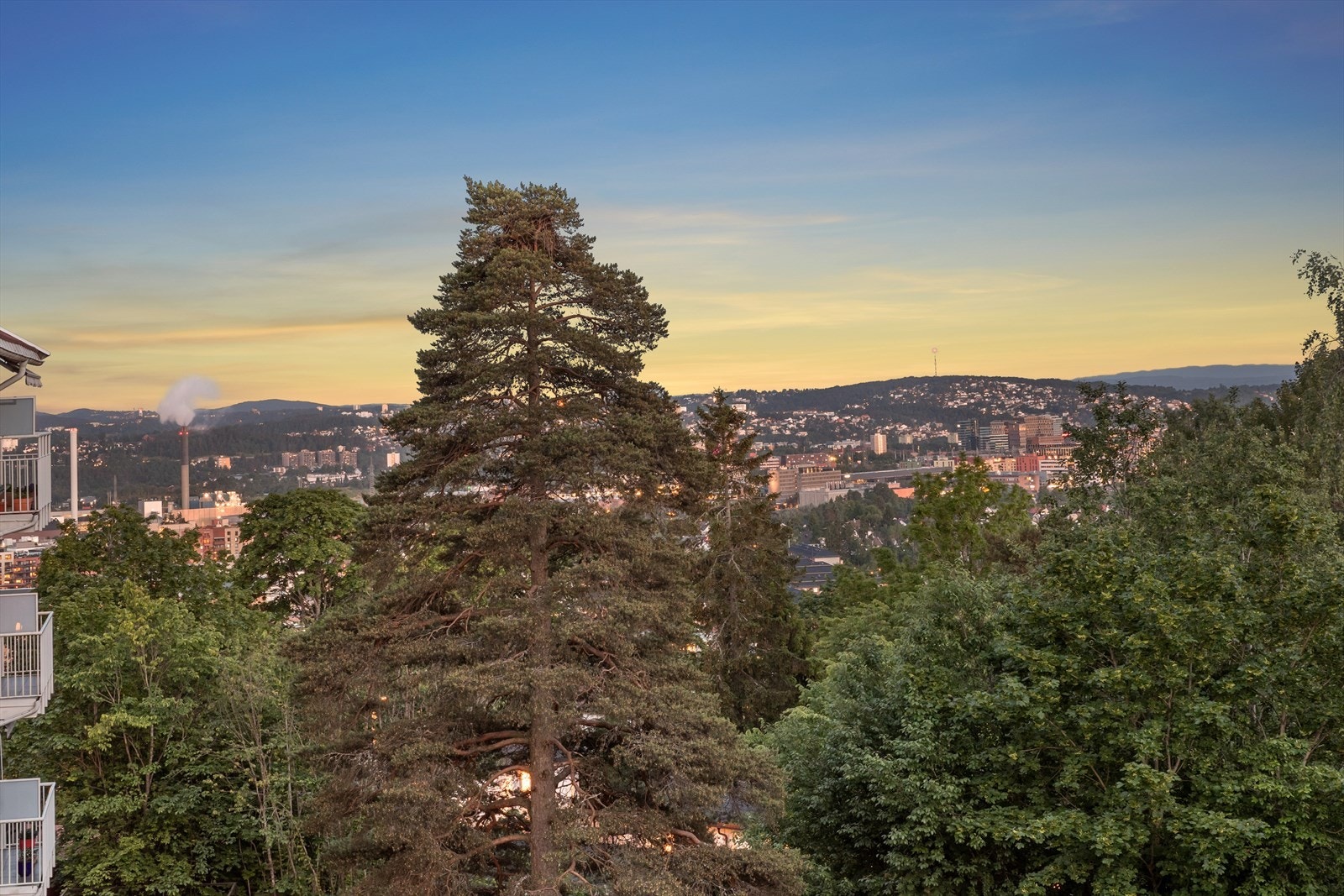 Utsikt mot Grefsenkollen og de omkringliggende åsene. Galleribilde
