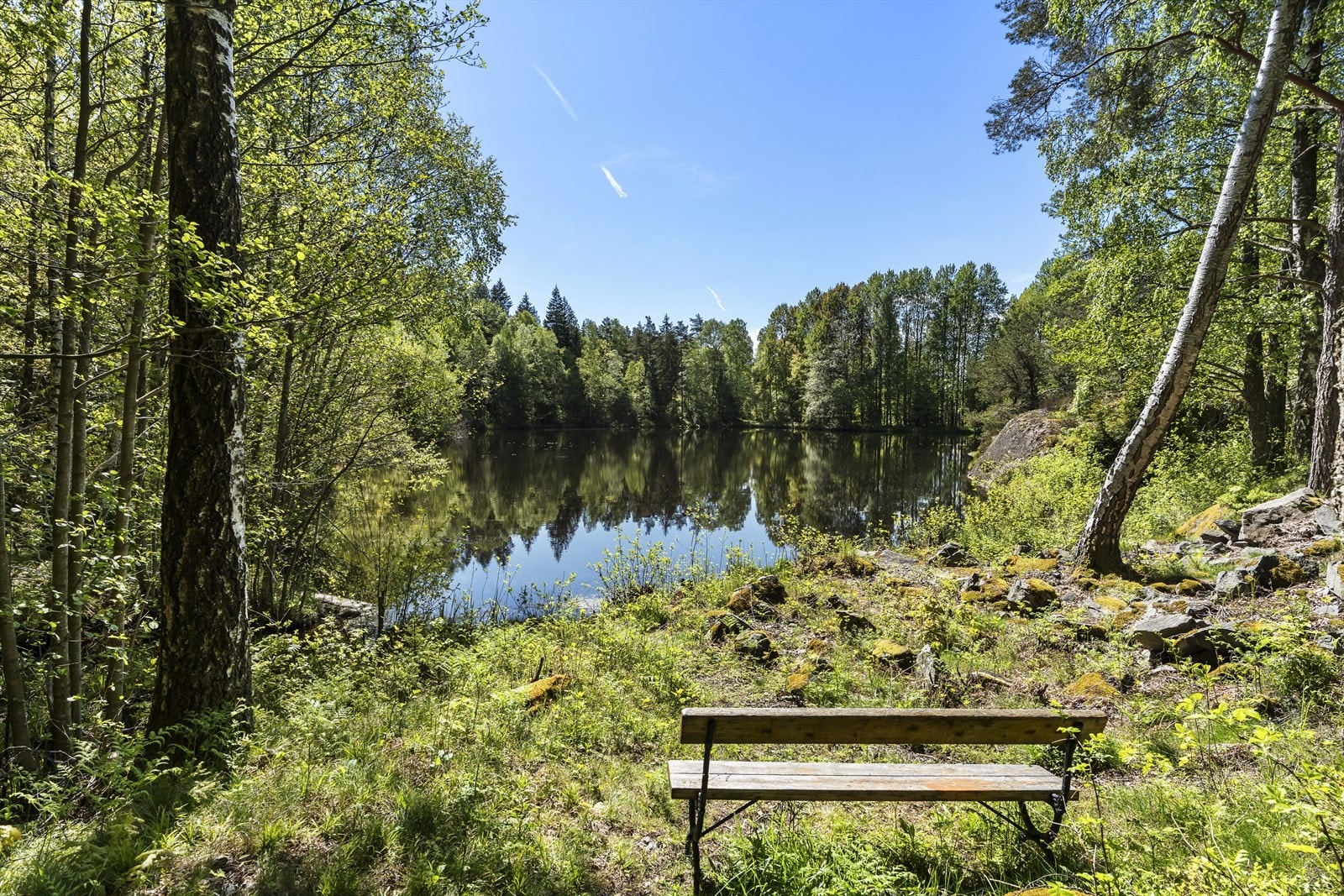 Her bor du med skogen og Nedredammen like utenfor døren. Galleribilde