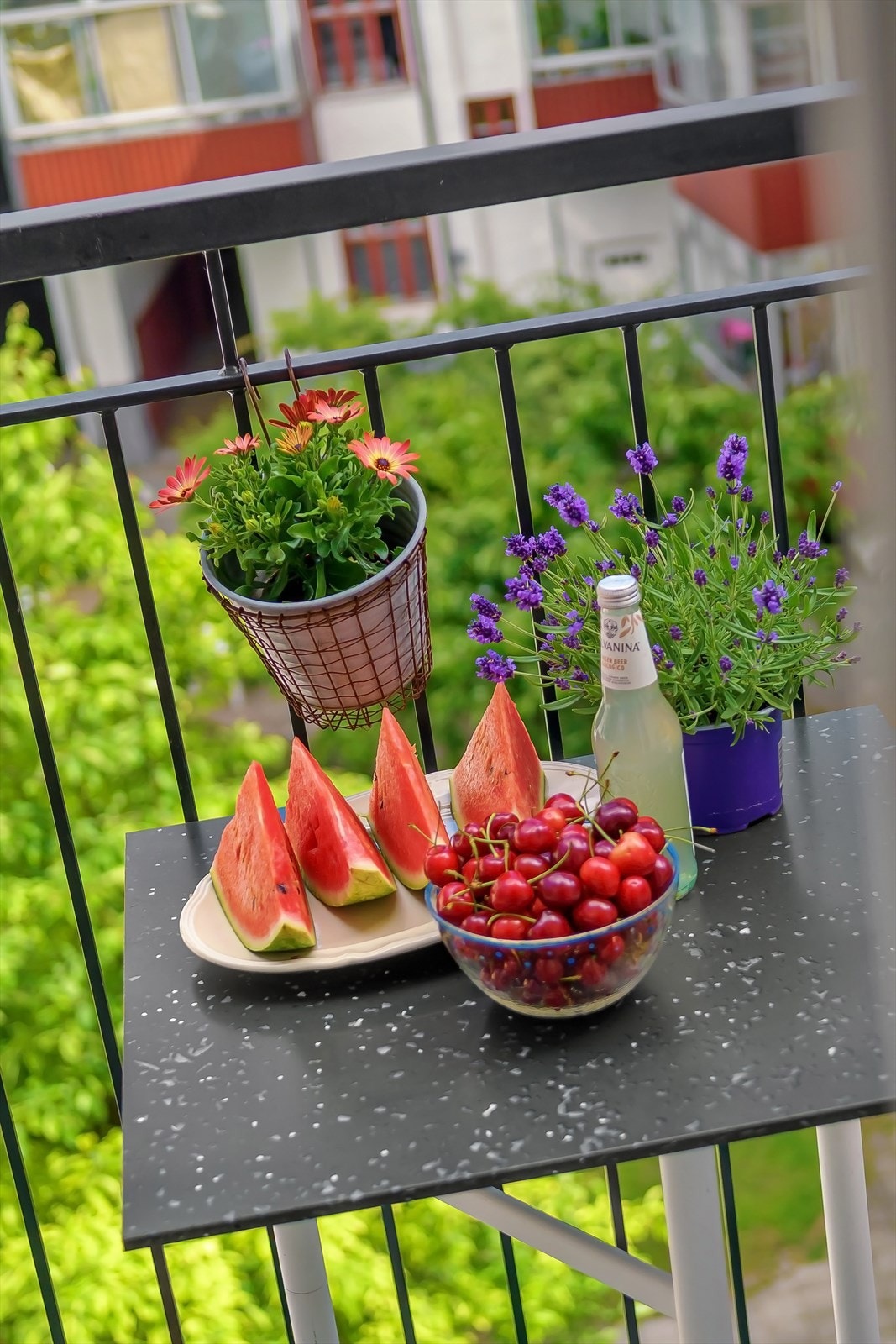 Dette blir garantert ditt favorittsted på fine sommerdager! Galleribilde