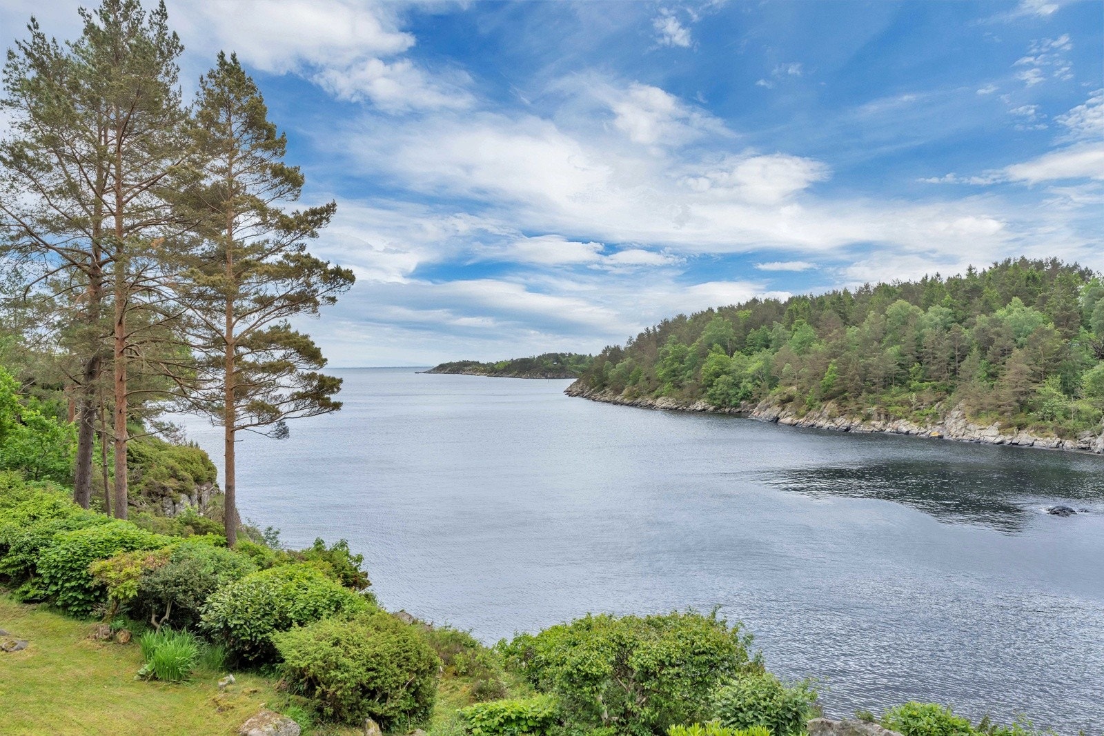 Sommer og idyll! Galleribilde