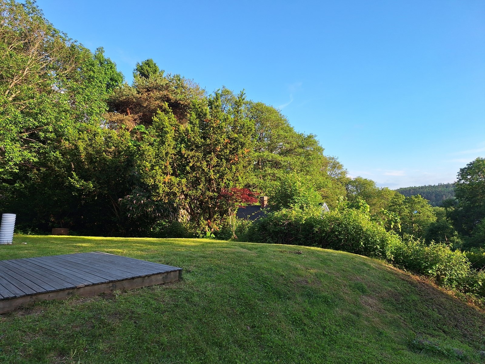 Selgers egne bilder Galleribilde
