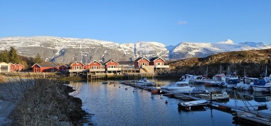 Område Galleribilde