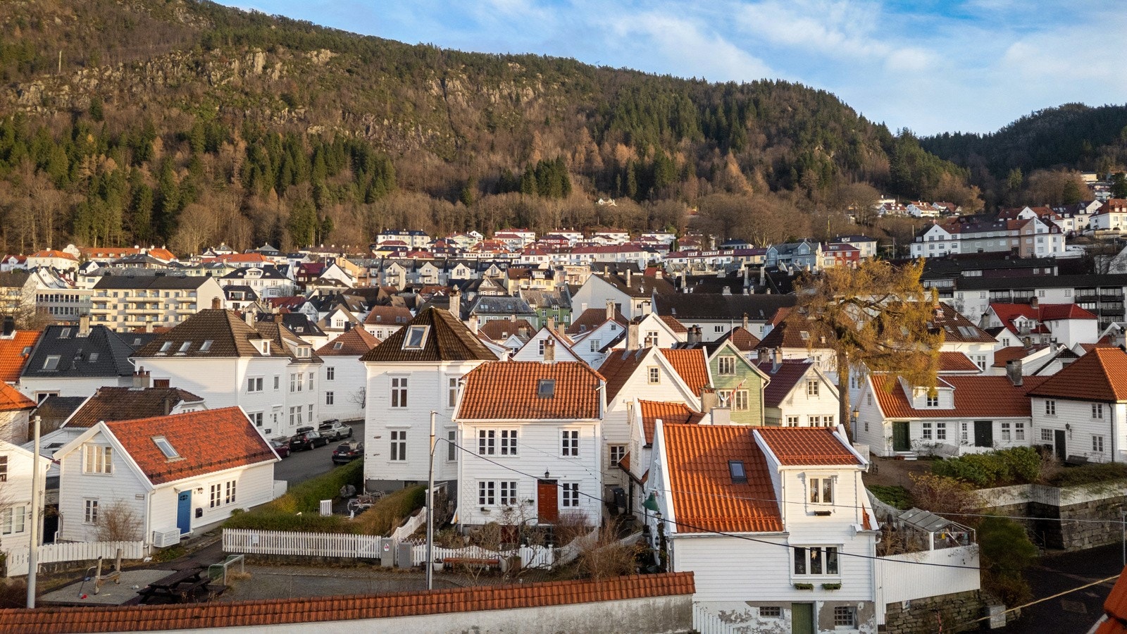 Oversikt (1) Galleribilde
