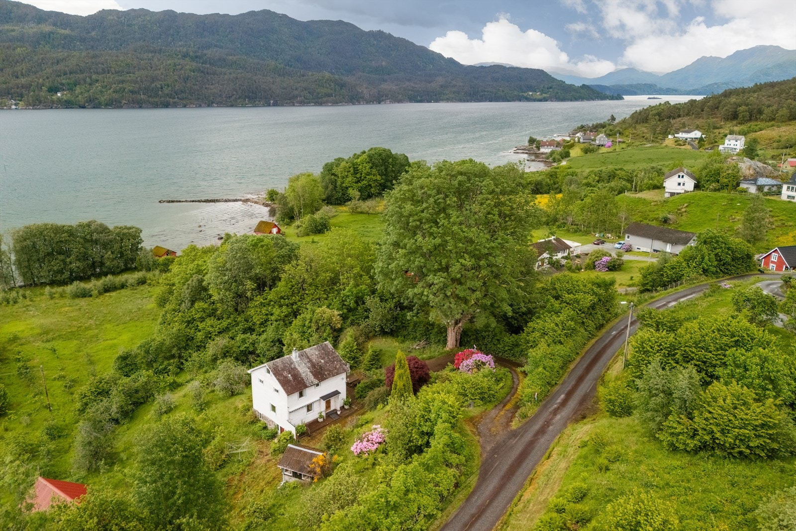 Oversiktsbilder. Galleribilde