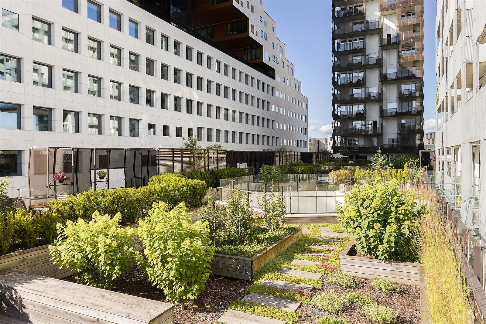 Takterrassene byr på svært gode solforhold. Galleribilde