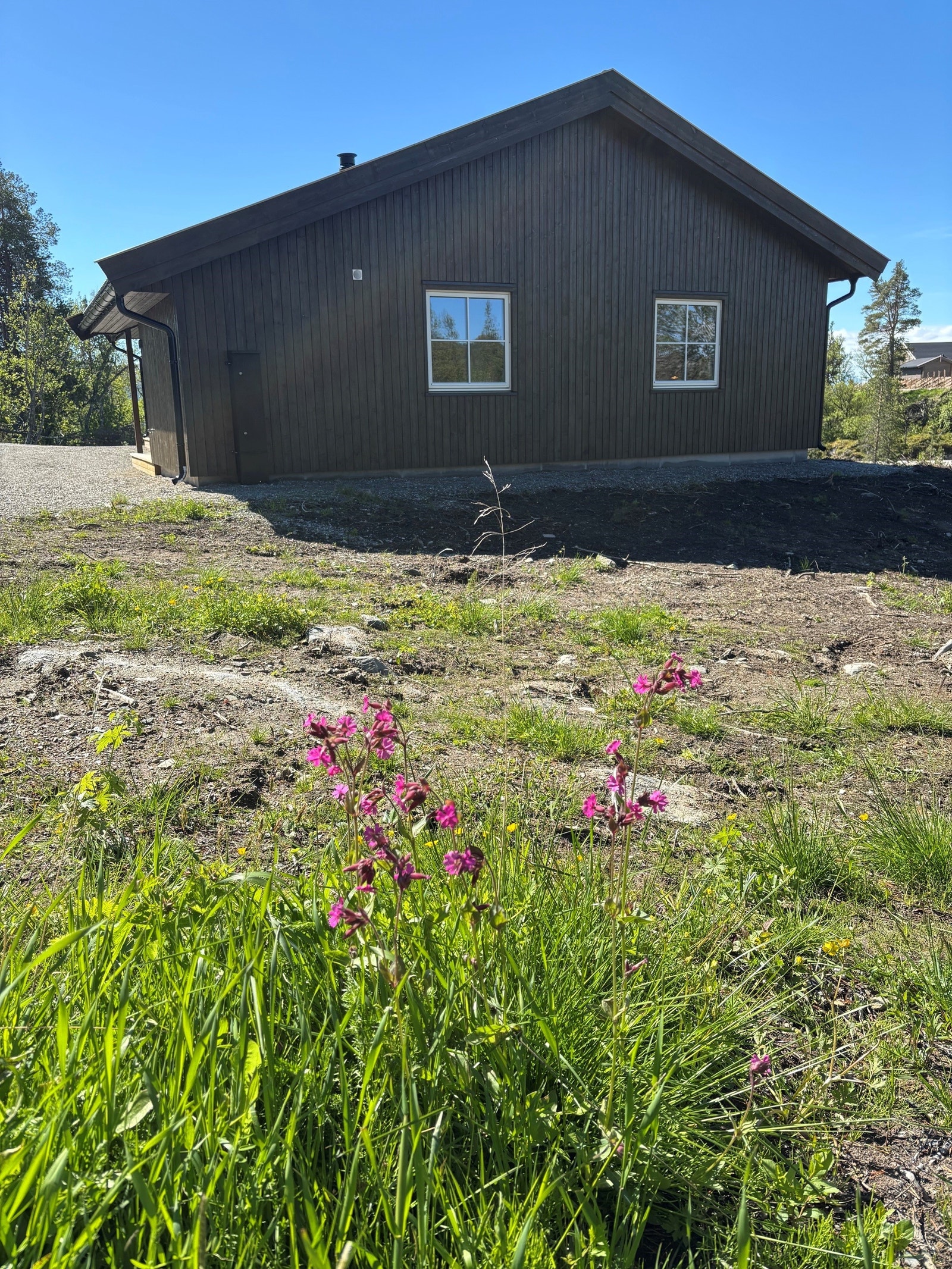 Rundt hytta vokser det markblomster og naturlig vegetasjon er bevart så langt det lar seg gjøre Galleribilde