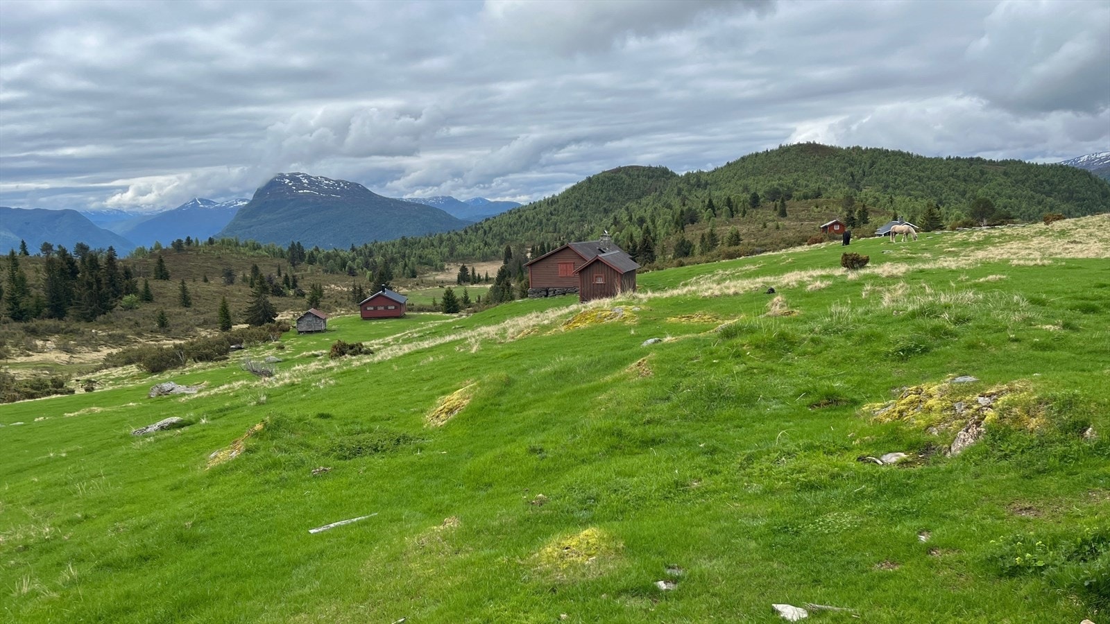 Fjellstølen Flatningane på omlag 740moh. Galleribilde