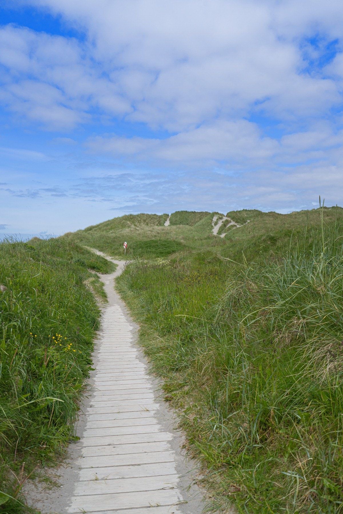 Refsnesstranda har gode turmuligheter og man kan ta turen til Hå gamle prestegard og videre til Obrestad fyr for å oppleve mektig natur og råskapen fra det åpne havet. Galleribilde