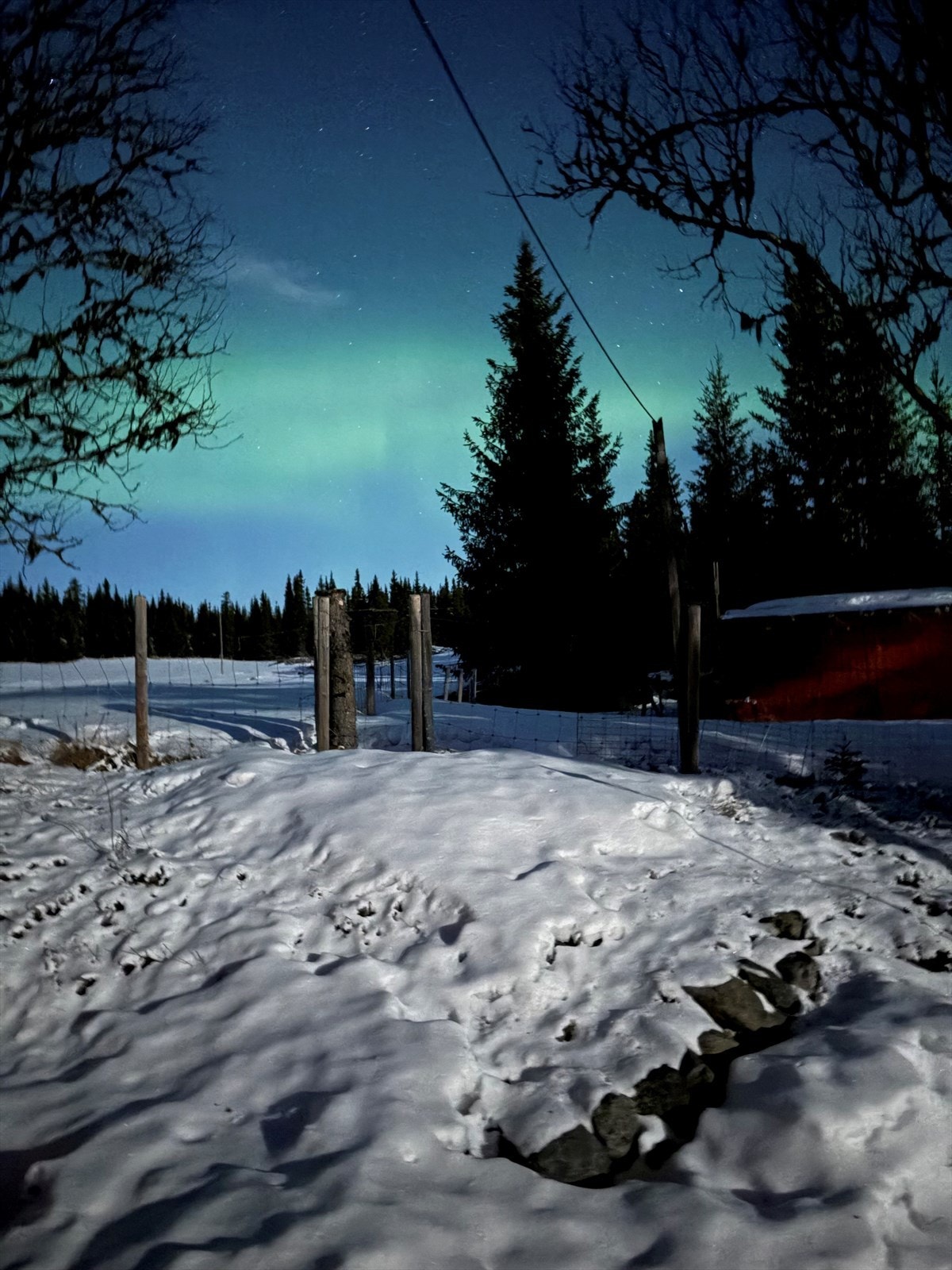 Selgers private bilde. Galleribilde