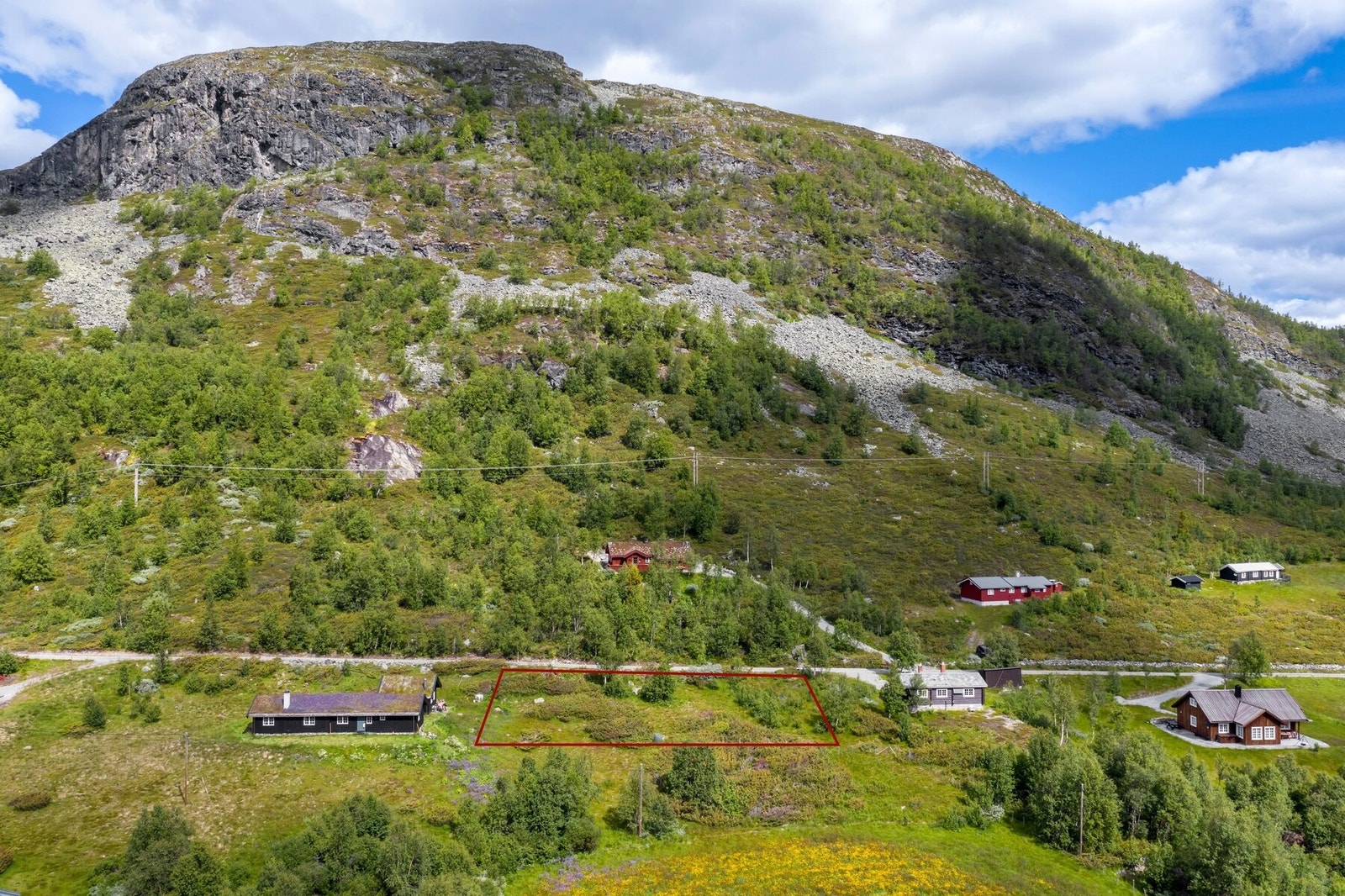 Vinterbrøytet vei. Galleribilde