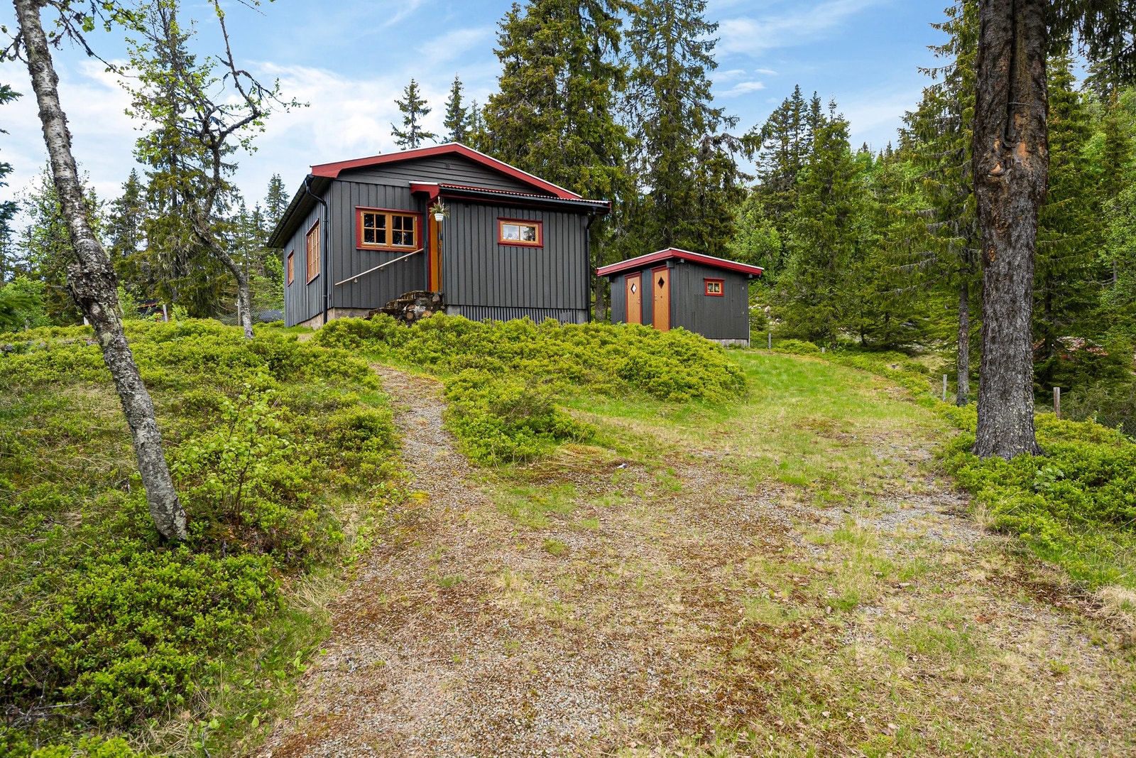 Området byr på flotte opplevelser både sommer og vinter. Det finnes oppmerkede turstier i nærområdet, og fantastiske skiløyper ligger i umiddelbar nærhet til eiendommen. Galleribilde