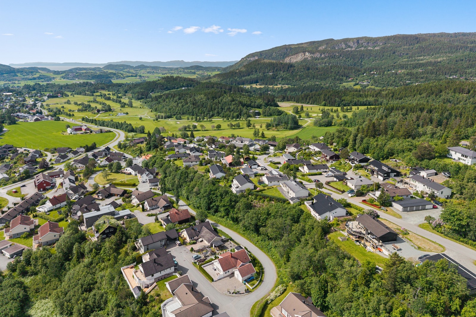Velkommen til visning! Galleribilde