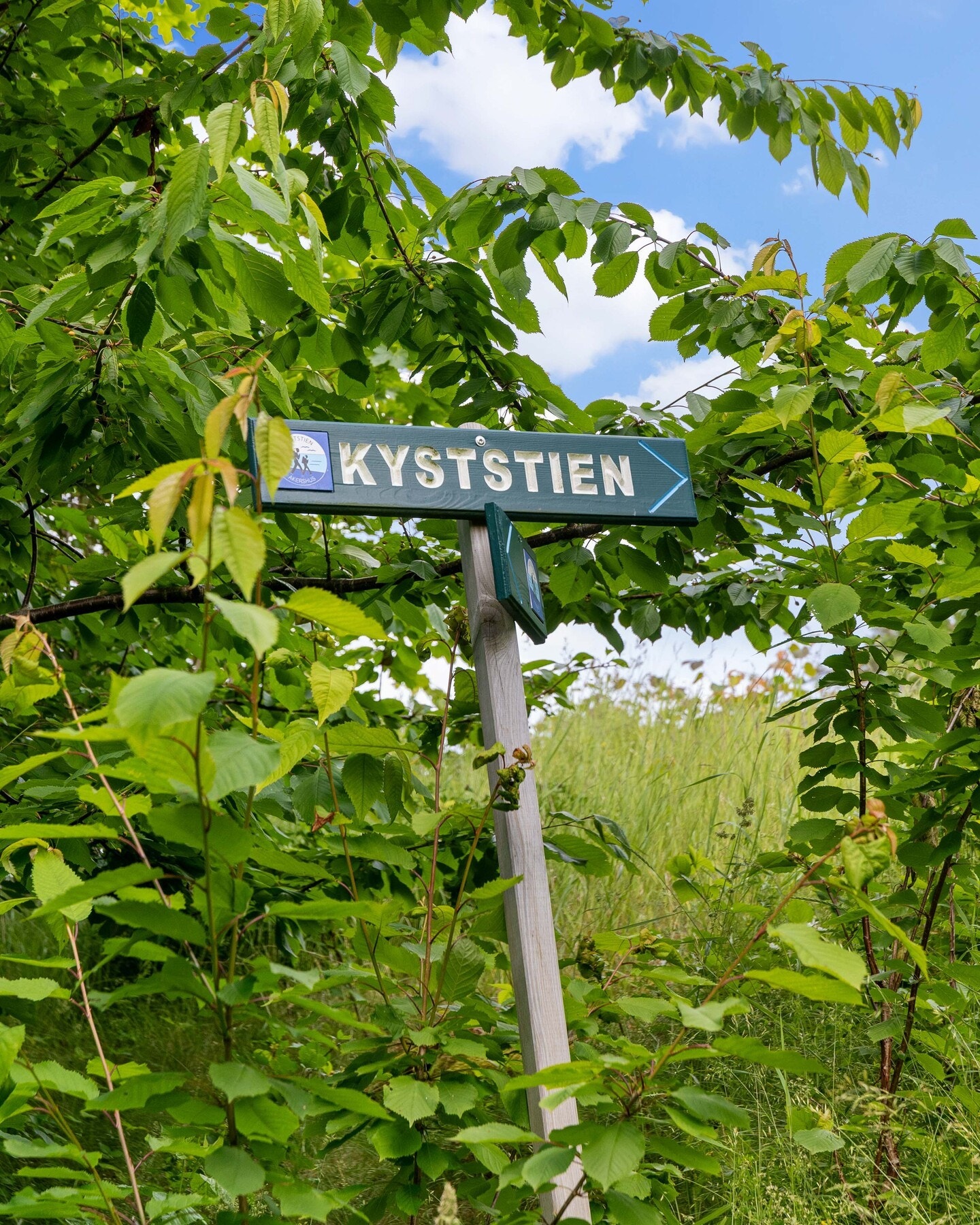 Nærområdet byr på flotte tur- og rekreasjonsmuligheter året rundt. Galleribilde
