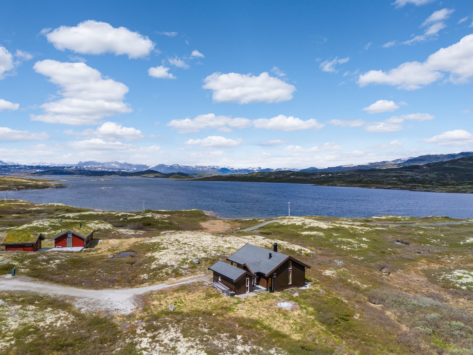 Vill og vakker natur. Galleribilde