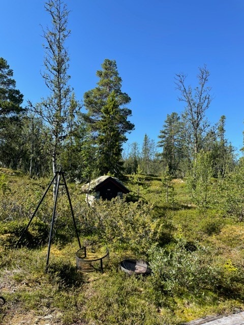 Selgers egne bilder Galleribilde