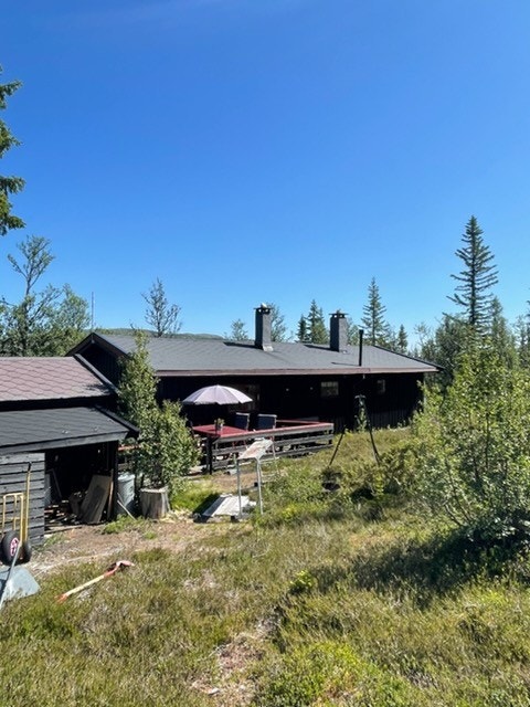 Selgers egne bilder fra sommerstid, skjermet og fin sommeridyll i fjellet Galleribilde