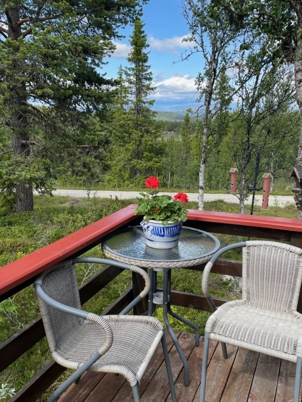 Hytta på sommerstid innbyr til kos og idyll (selgers egne bilder) Galleribilde