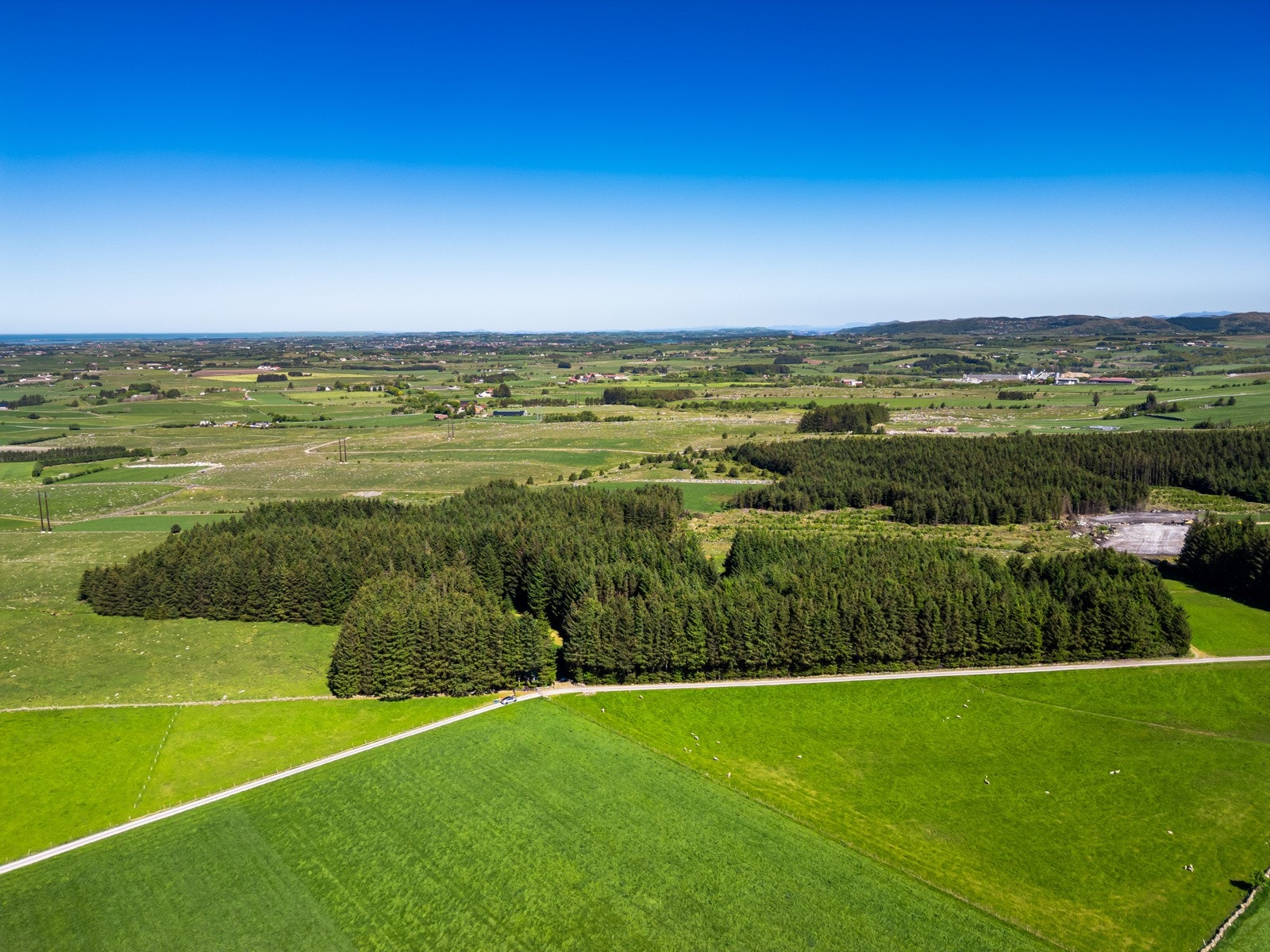 Gnr. 26 Bnr. 80 består av skog og er på ca. 39 mål. Galleribilde