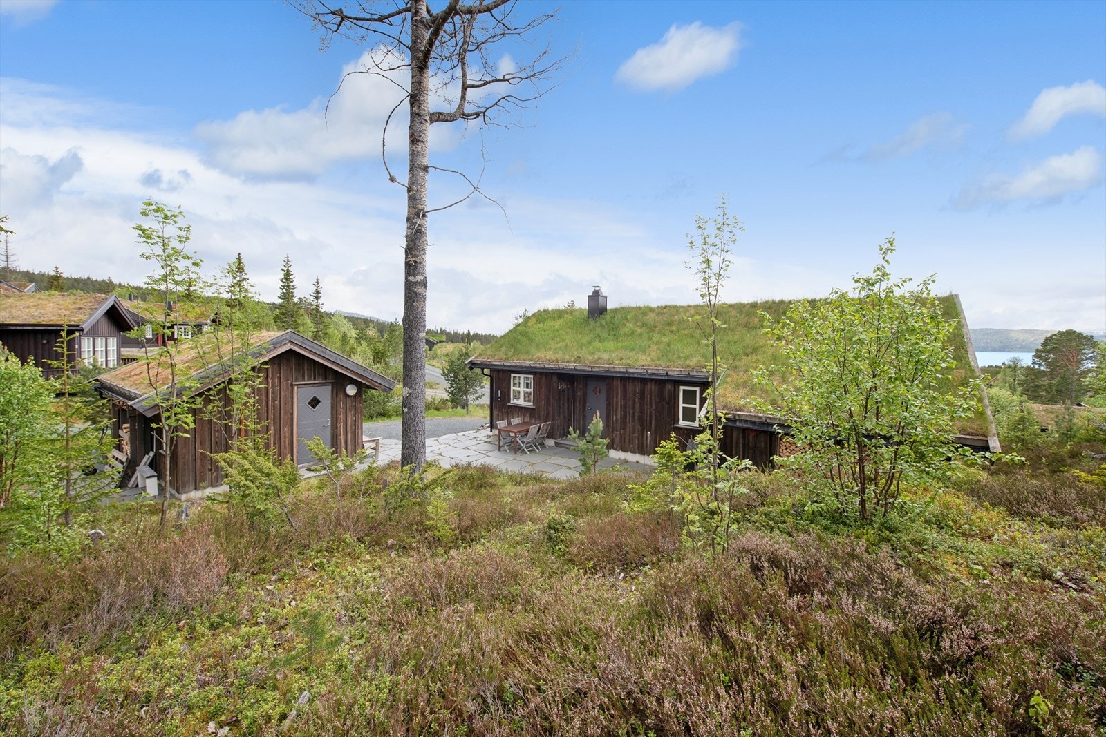 Naturlig vegetasjon skaper en atmosfære av ro og urørt natur - et sted der man trekker pusten og merker at man faktisk er på fjellet. Galleribilde