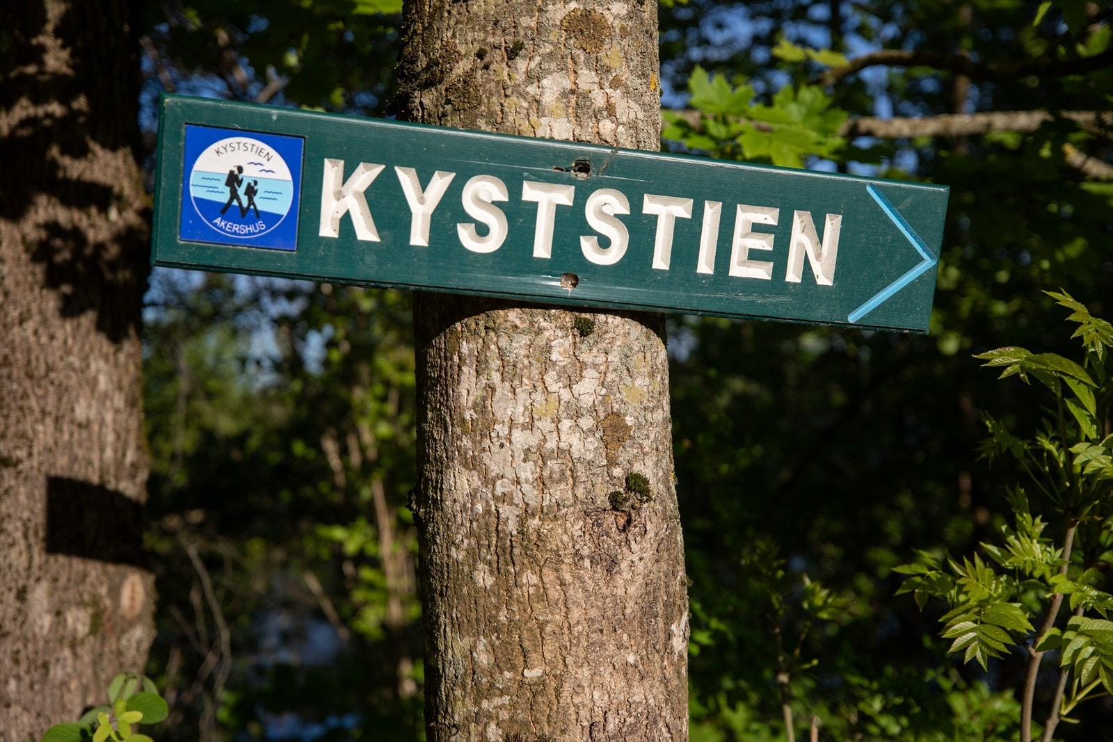 Kyststien. Galleribilde