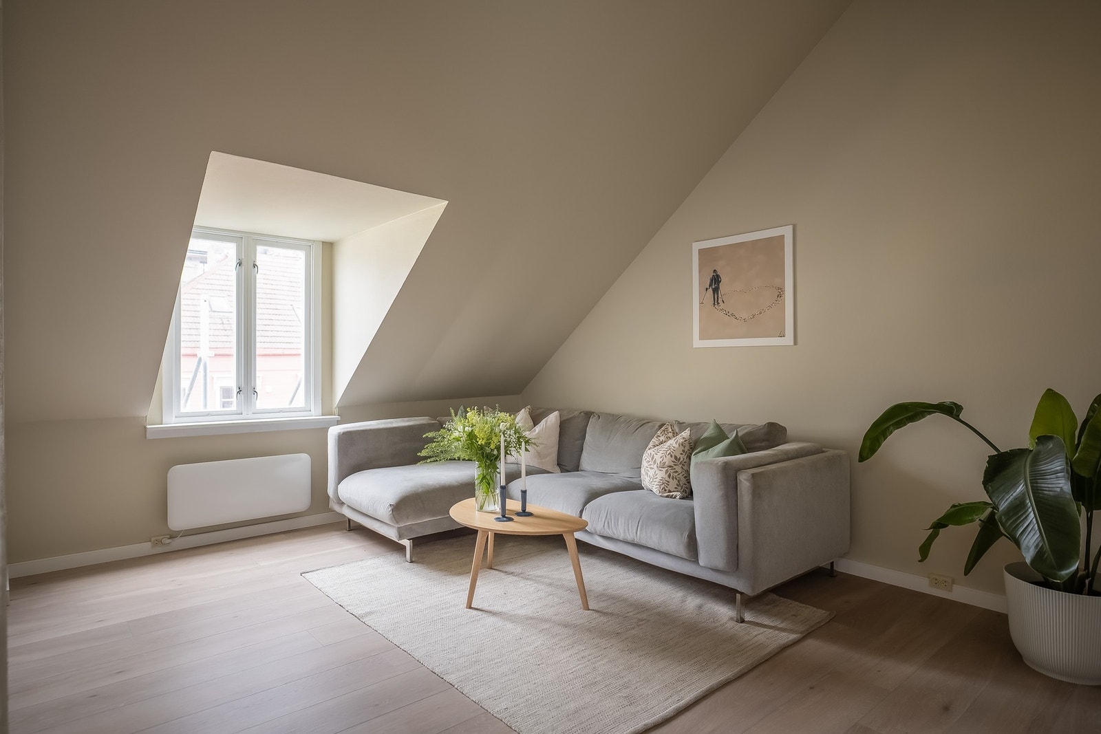hovedbilde