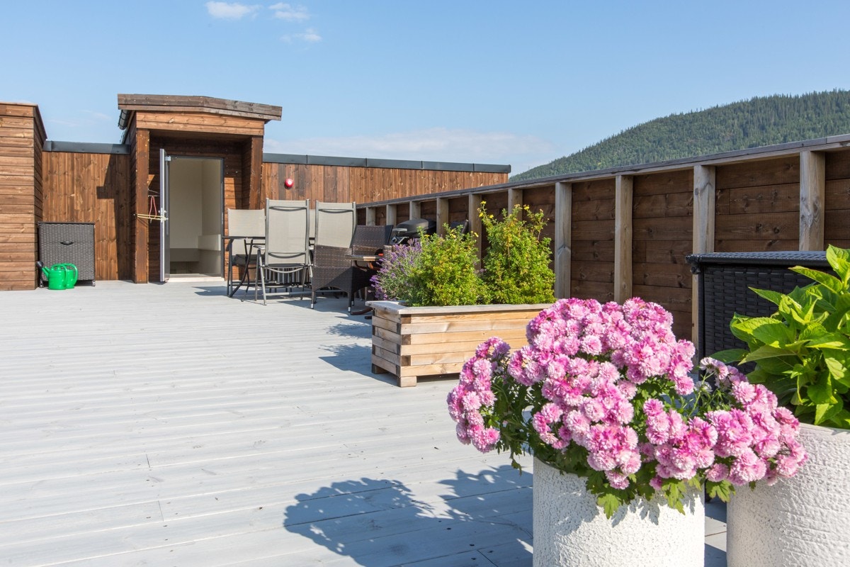 Takterrassen tilbyr romslig plass og er innredet med plantekasser og sittegrupper. Galleribilde