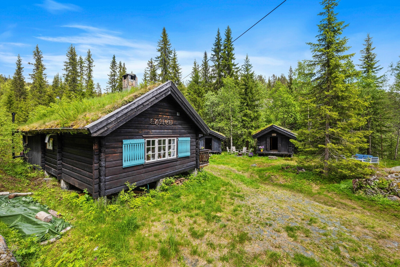 Idyllisk hyttetun med laftet hytte og tre stabbur Galleribilde