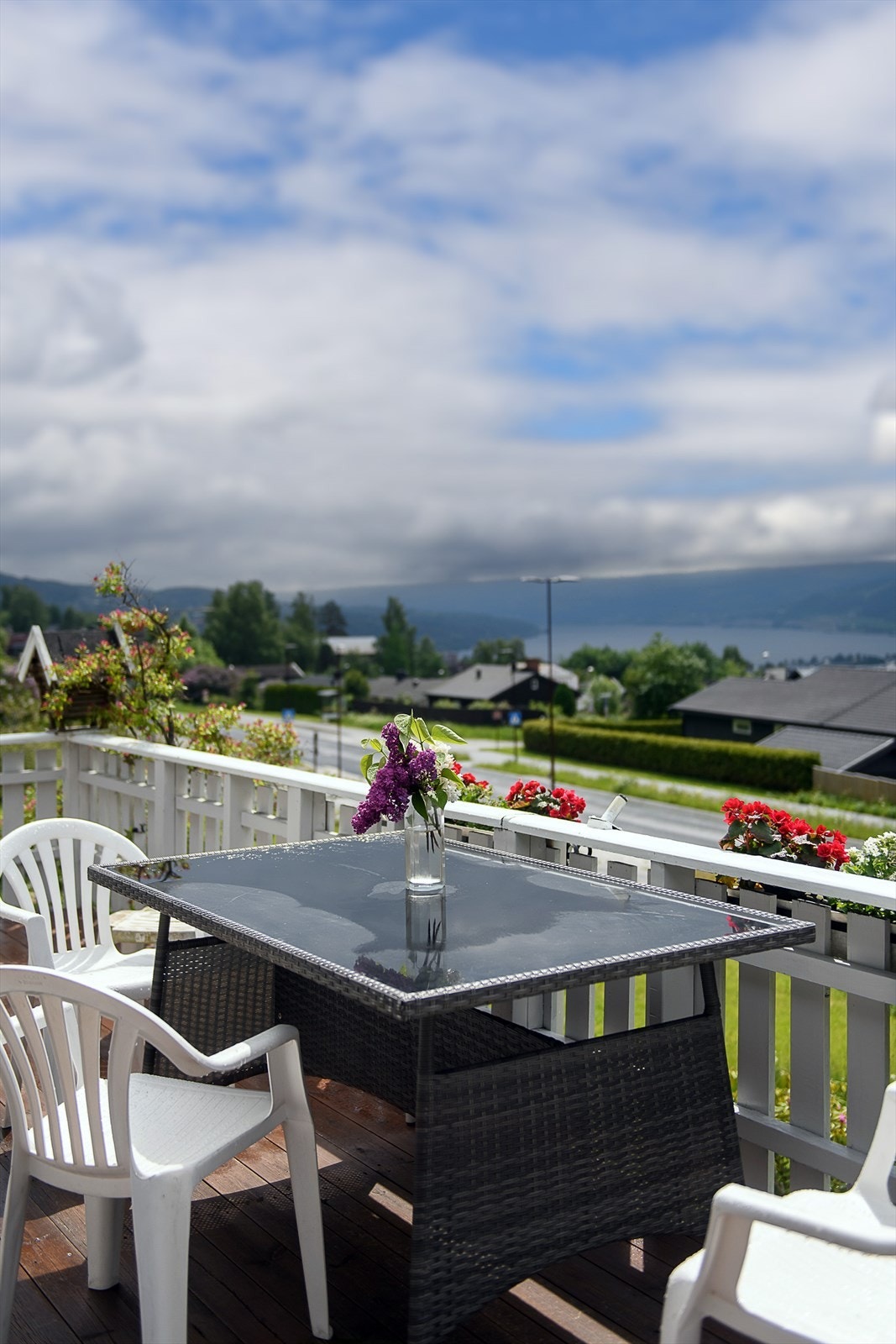 Utsikt fra terrassen over nærområdet og Mjøsa. Galleribilde