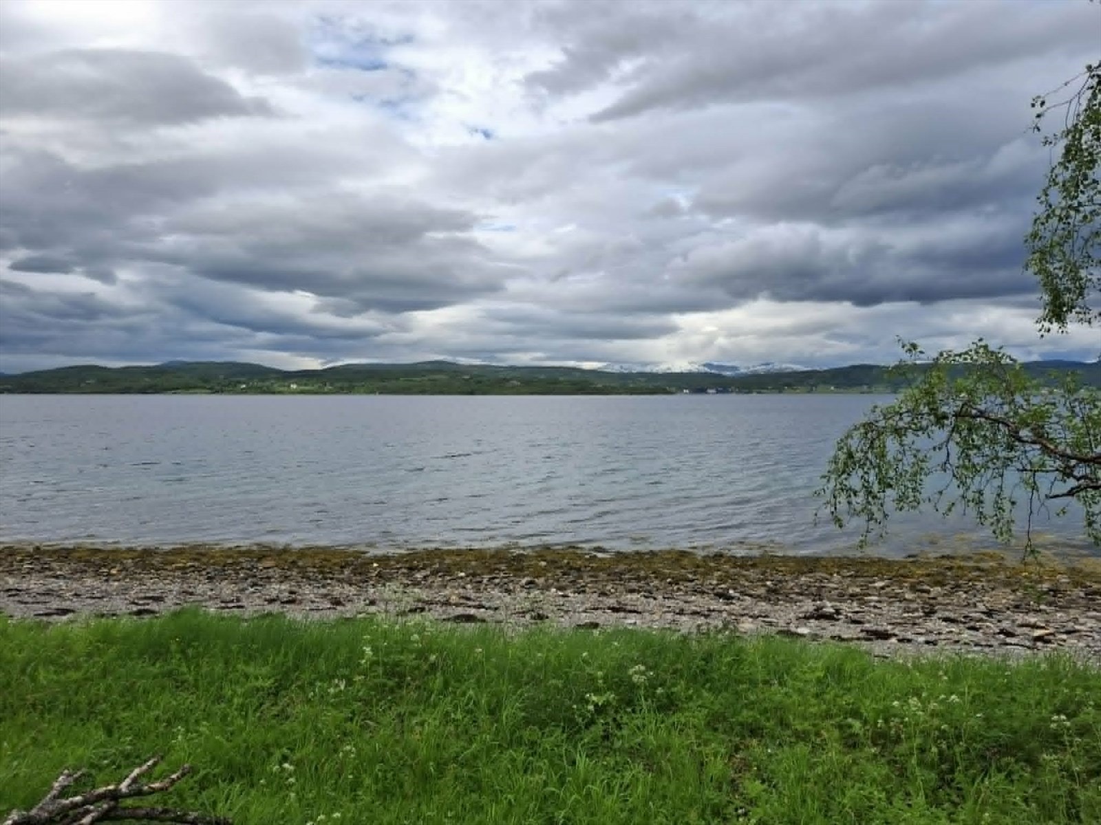 Selgers eget bilde Galleribilde