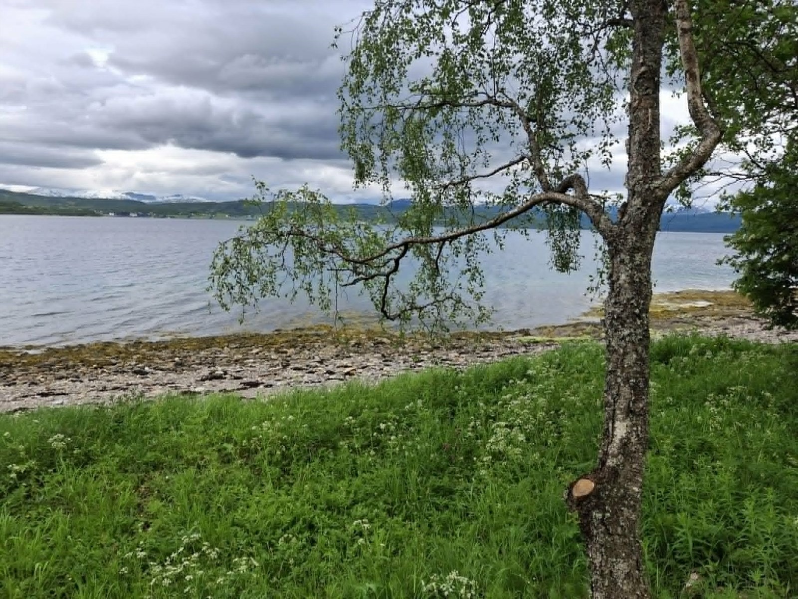 Selgers eget bilde Galleribilde