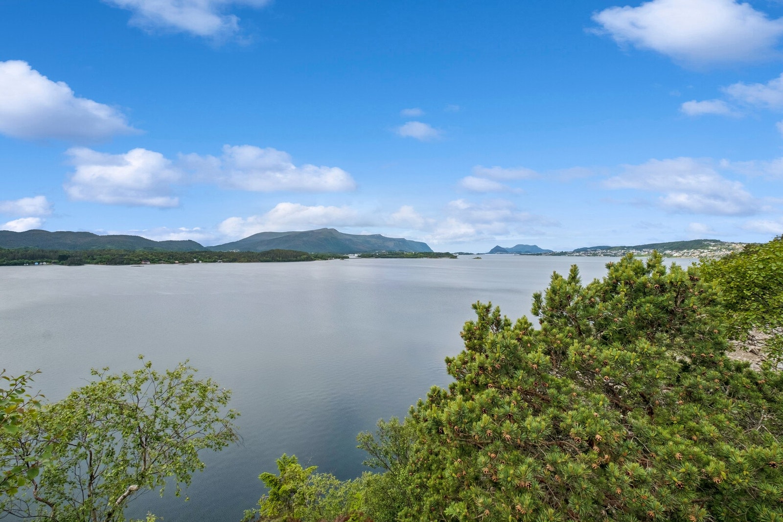 Panoramautsikt mot Sunnmørsalpene og vestover Borgundfjorden mot Breisundet, Ålesund, Sukkertoppen og Godøya. Galleribilde