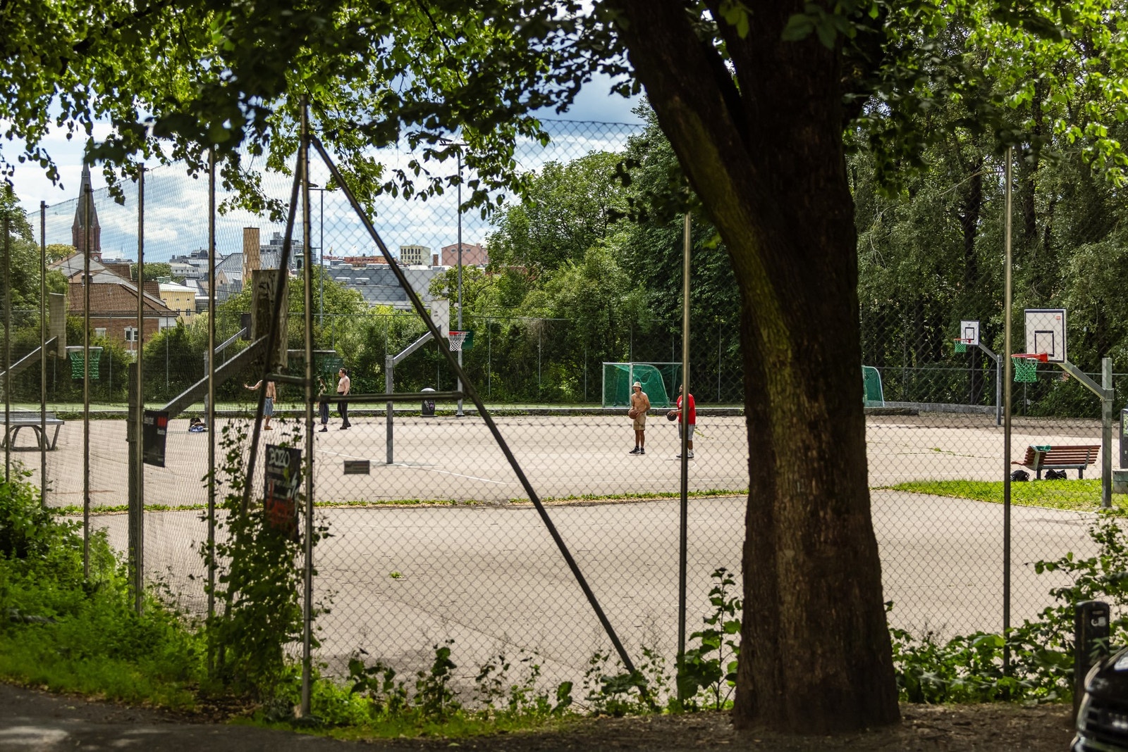 Områdebilde. Galleribilde