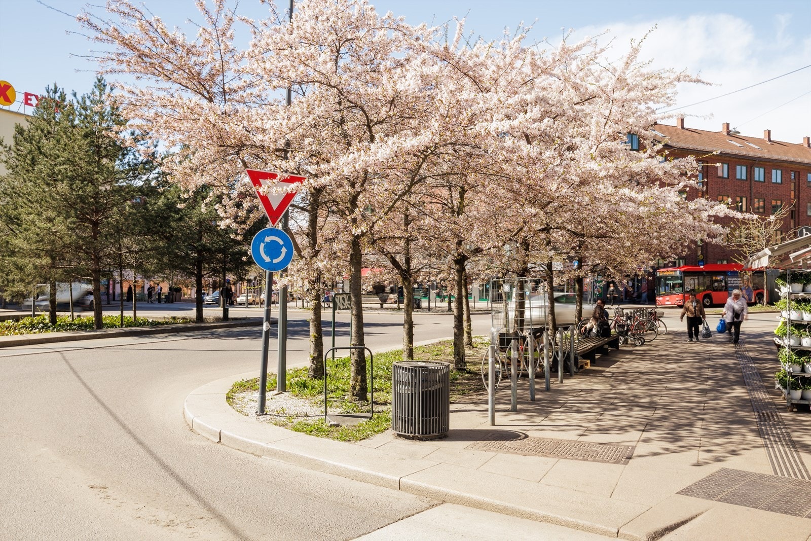 I vårmånedene kan man oppleve Carl Berners plass i full blomst, med vakre kirsebærtrær som setter et ekstra fint preg på nærområdet. Galleribilde